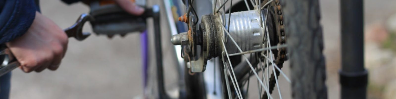 photo_2026-02-18_15-02-06